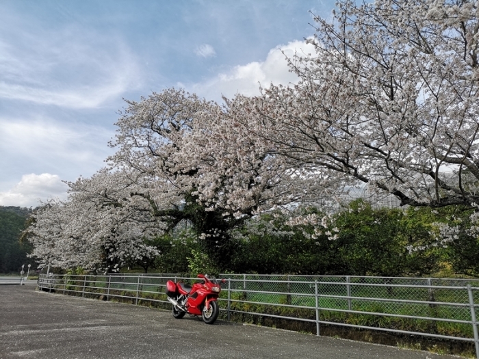 DUCATI 買いました。_c0348196_08450401.jpg