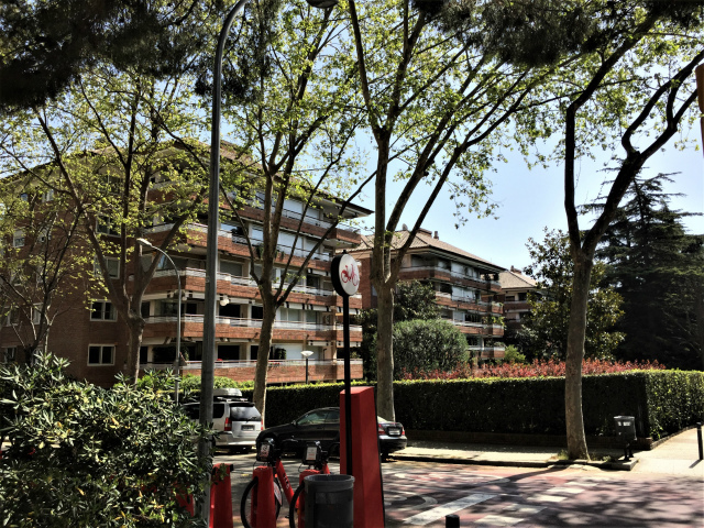 春うらら_b0064411_07393705.jpg