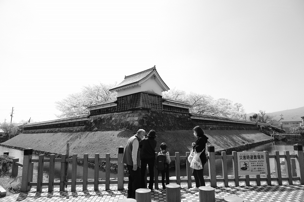 勝龍寺城公園の桜_e0374932_07005546.jpg