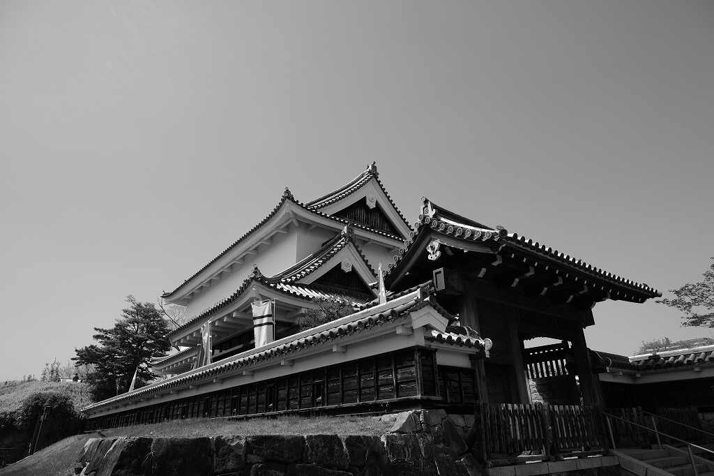 勝龍寺城公園の桜_e0374932_07011377.jpg