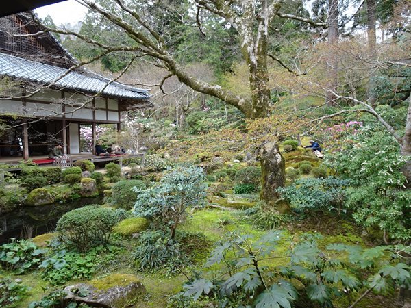 京都はええおすえ～。三千院、TheMitsuiにすっぽんに。。。_b0399943_07544188.jpg