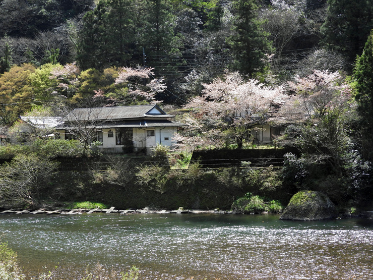 立久恵峡散策③＊池江五輪へ＊_f0214649_19380326.jpg