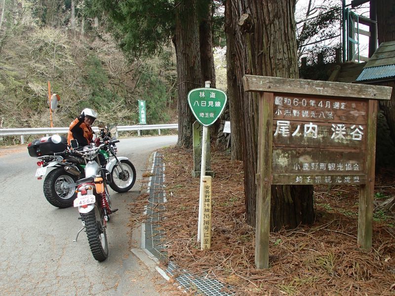 しっぽのトライアルあそび しっぽのトライアルあそび