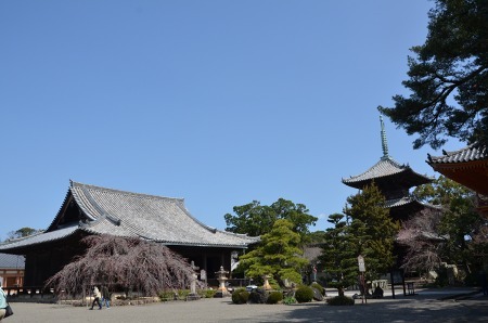 和歌山県　道成寺_c0229483_11383792.jpg