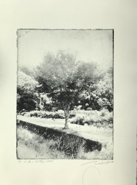 水底の記憶 フォトエッチング 京都市美術館_c0100195_09283377.jpeg
