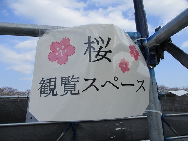 「龍巌淵のサクラ」 仮設観覧台設置と滝戸橋通行トラブルの検証が必要_f0141310_07511135.jpg