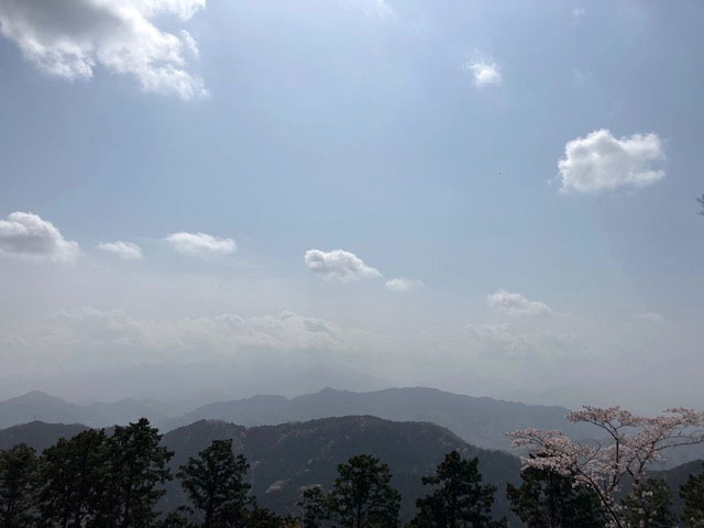 春の高尾山 2021_e0208519_09403820.jpg