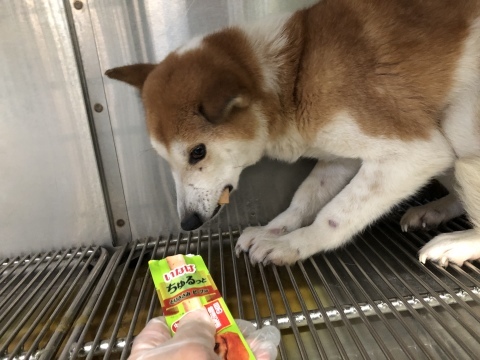 _f0078320_18073100.jpeg