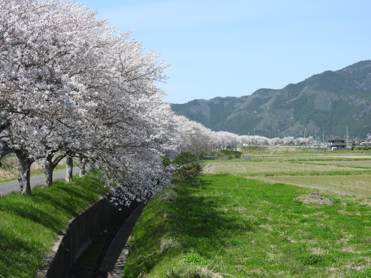 もうすぐ日眼 その2(1254)_f0088231_19085928.jpg