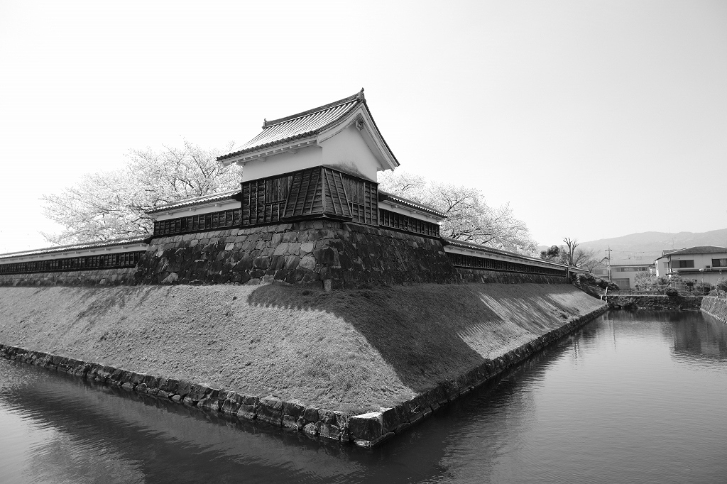 勝竜寺城公園の桜　２_e0374932_08350703.jpg