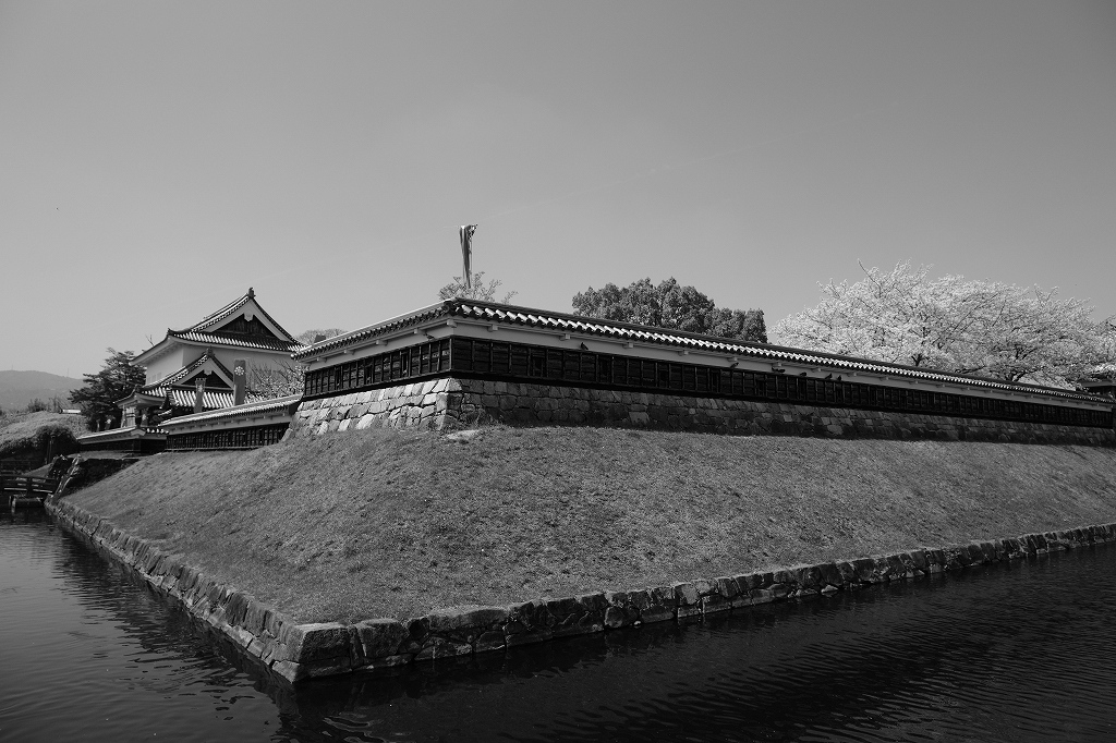 勝竜寺城公園の桜　２_e0374932_08350902.jpg