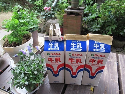 21年4月5日 牛乳パックで堆肥つくり じゃこてんのつぶやき 21年4月5日 牛乳パックで堆肥つくり じゃこてんのつぶやき