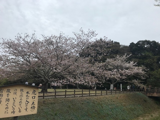 新生活スタート_b0208246_17194317.jpg