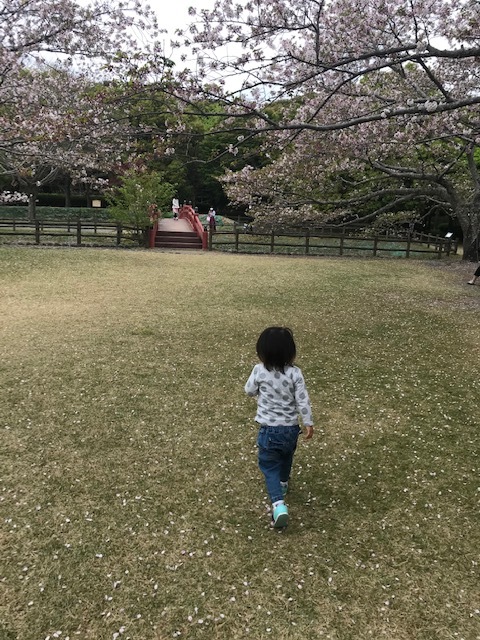 新生活スタート_b0208246_17194800.jpg