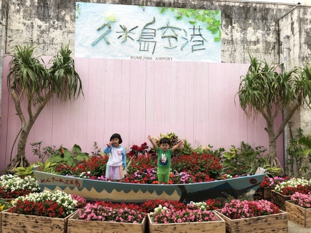 パイナップルは木になるよ 沖縄 久米島 たのしくいこぉ パイナップルは木になるよ 沖縄 久米島 たのしくいこぉ