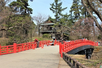 弘前公園で春探し_2021.04.02撮影_d0131668_17270618.jpg