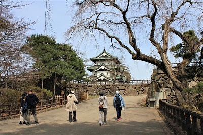 弘前公園で春探し_2021.04.02撮影_d0131668_17304883.jpg