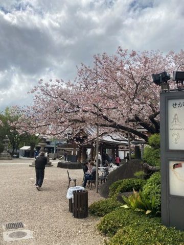 悲しみは簡単に通り過ぎては行かない_f0009169_21344782.jpg