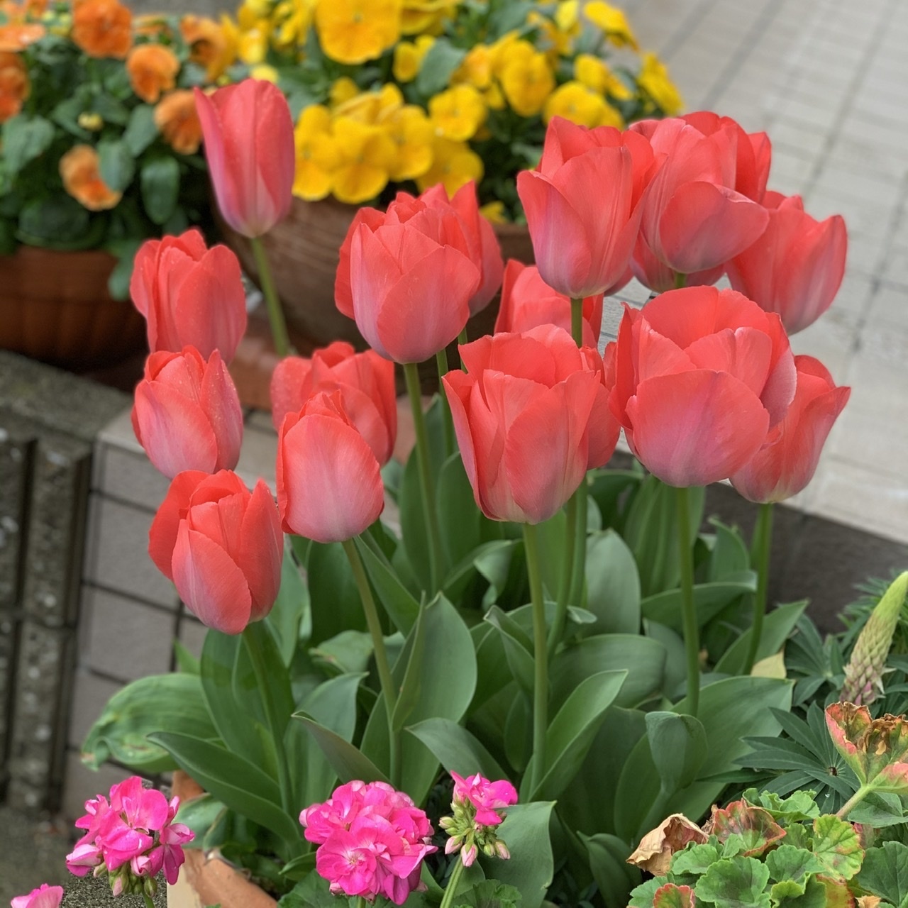 日常フツー_e0358096_19334231.jpeg