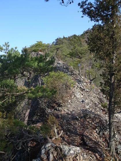 七種山（なぐさやま）＠兵庫県 神崎郡福崎町_f0197703_15511438.jpg