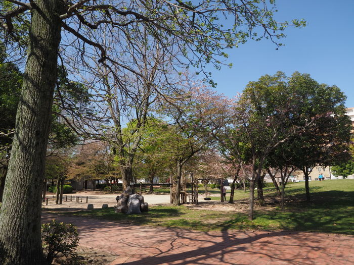 佐伯区民文化センター&五日市中央公園_c0116915_23143038.jpg