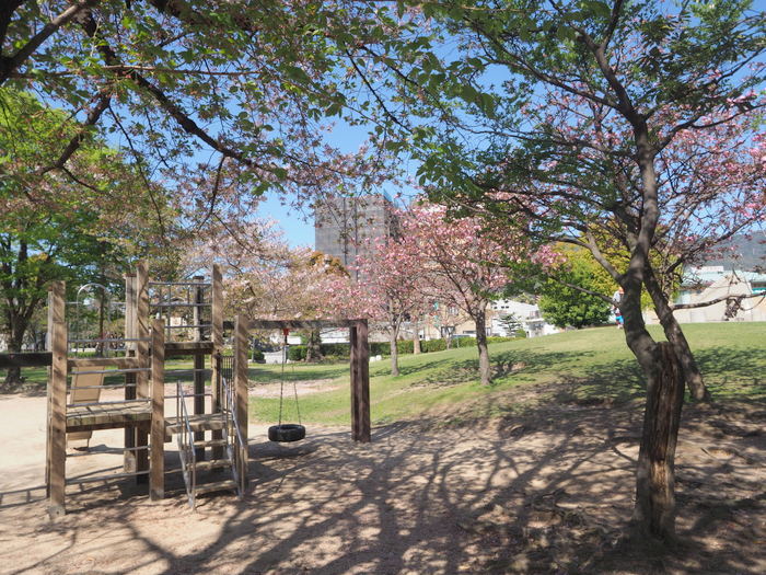 佐伯区民文化センター&五日市中央公園_c0116915_23153042.jpg