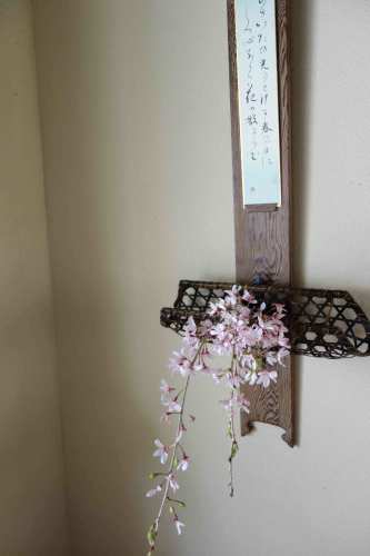 桜から新緑へ_a0197730_09395433.jpg
