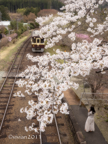 足尾で桜の撮影会　～わたらせ渓谷鐡道～_e0227942_19403204.jpg