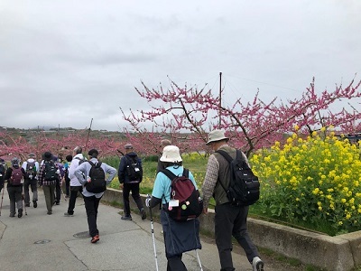 秩夫横道三十四観音霊場・第2回_f0019247_16203463.jpg
