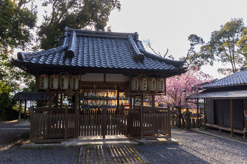 2021桜咲く京都 六所神社のしだれ桜_f0155048_00265113.jpg
