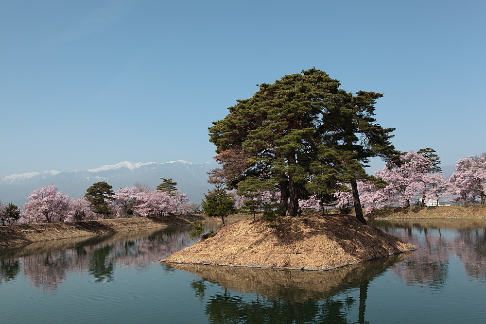 南信州桜巡り 伊那市 六道の堤の桜 その3 日本あちこち撮り歩記 南信州桜巡り 伊那市 六道の堤の桜 その3 日本あちこち撮り歩記