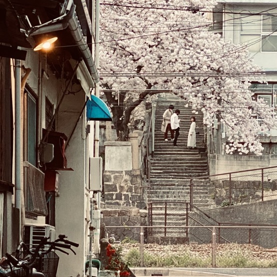 ドライブ_f0341886_18591168.jpg