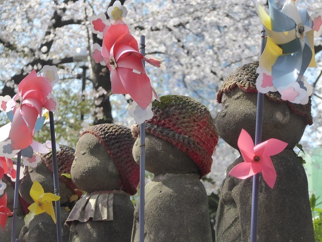 増上寺の桜の中のお地蔵様 7回目の月命日も竹芝桟橋から海を眺めて ルソイの半バックパッカー旅 増上寺の桜の中のお地蔵様 7回目の月命日も竹芝桟橋から海を眺めて ルソイの半バックパッカー旅