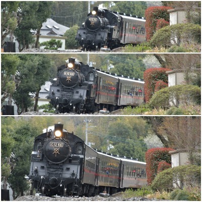 桜巡り2021 ~ 名残りの枝垂れ桜と蒸気機関車_b0356401_21565541.jpg