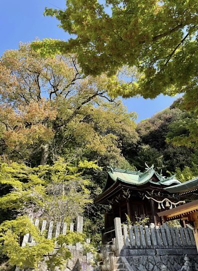 山登りの日。_a0213806_15241341.jpeg