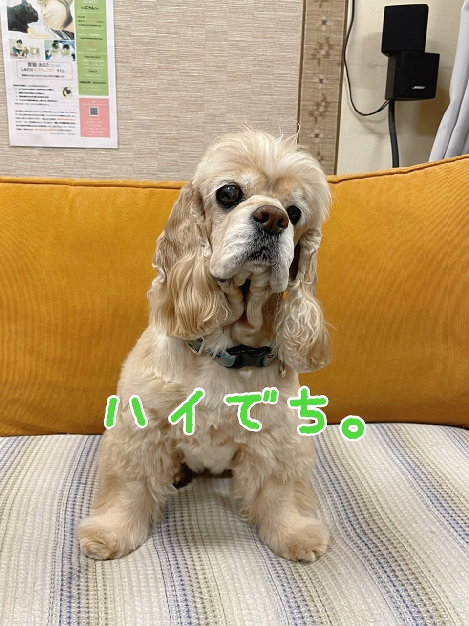 なんか変じゃないでちかね マリちゃんワールド なんか変じゃないでちかね マリちゃんワールド