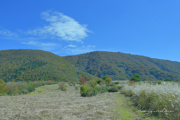  2020年のキオク・10月の山歩き⑯**琥珀色の森へ_b0197639_23031104.jpg