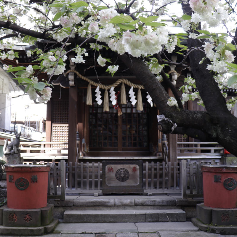 秋葉原から優美堂に行く途中、柳森神社の富士塚へ_c0060143_05452982.jpg