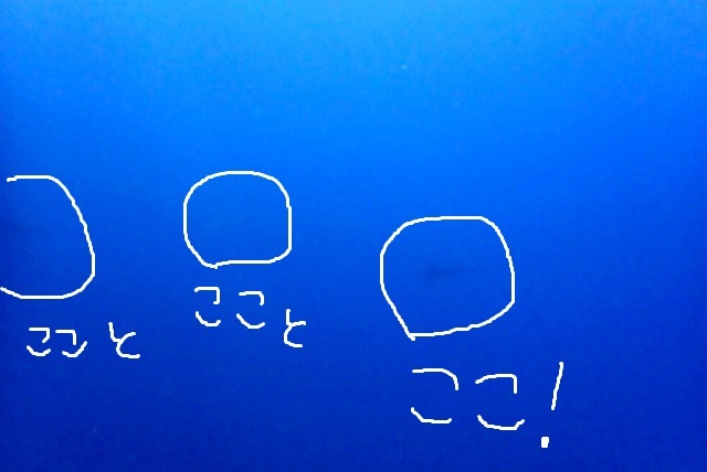 4月7日 海は静かに、潮は緩く_d0113459_18425037.jpg