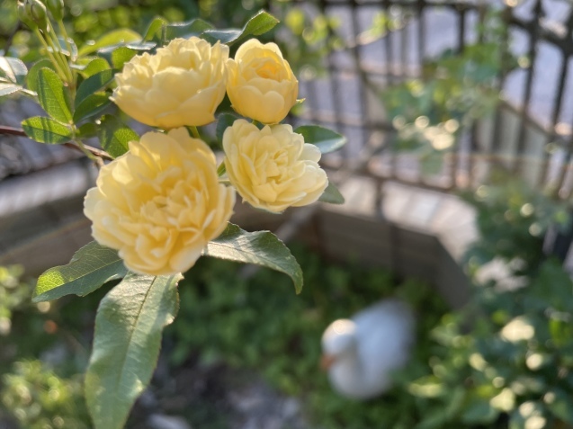 疲れた心。_a0394574_20074635.jpeg