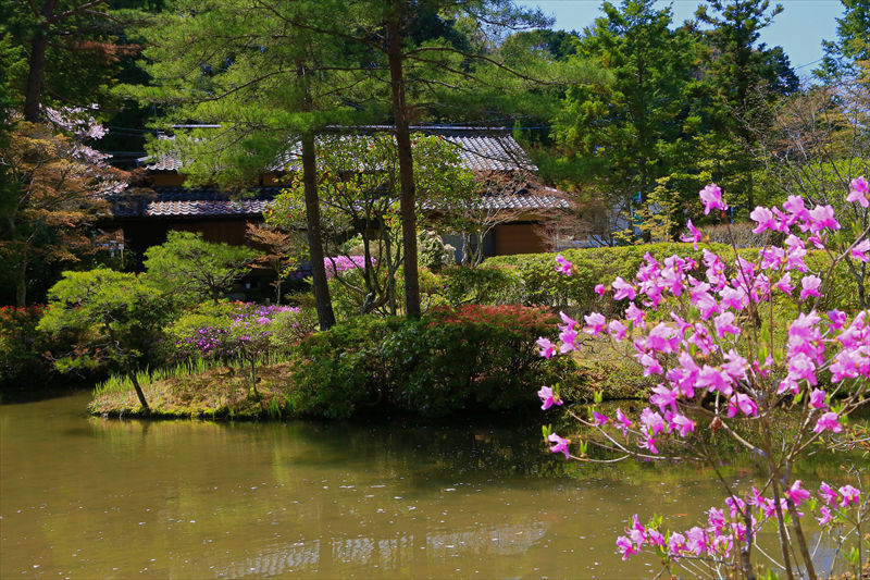 奈良市 柳生 円城寺 写真を主とした日記です