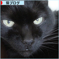 どうしてそうなの・・・_a0389088_14014341.jpg