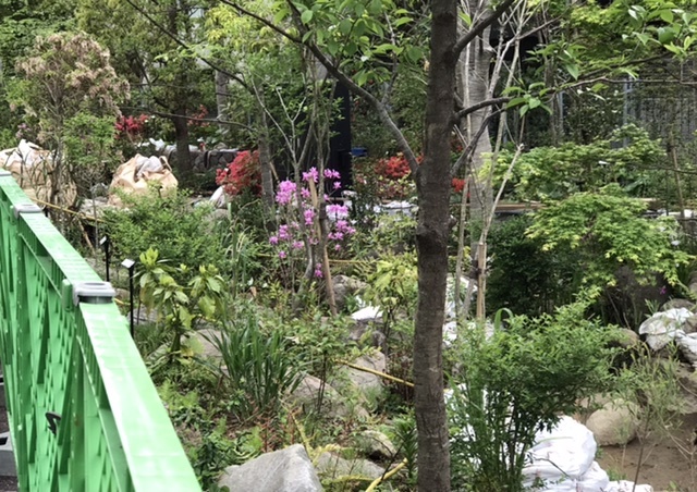 青山3丁目まで、帰りはデュヌ・ラルテで_e0397389_12322171.jpeg