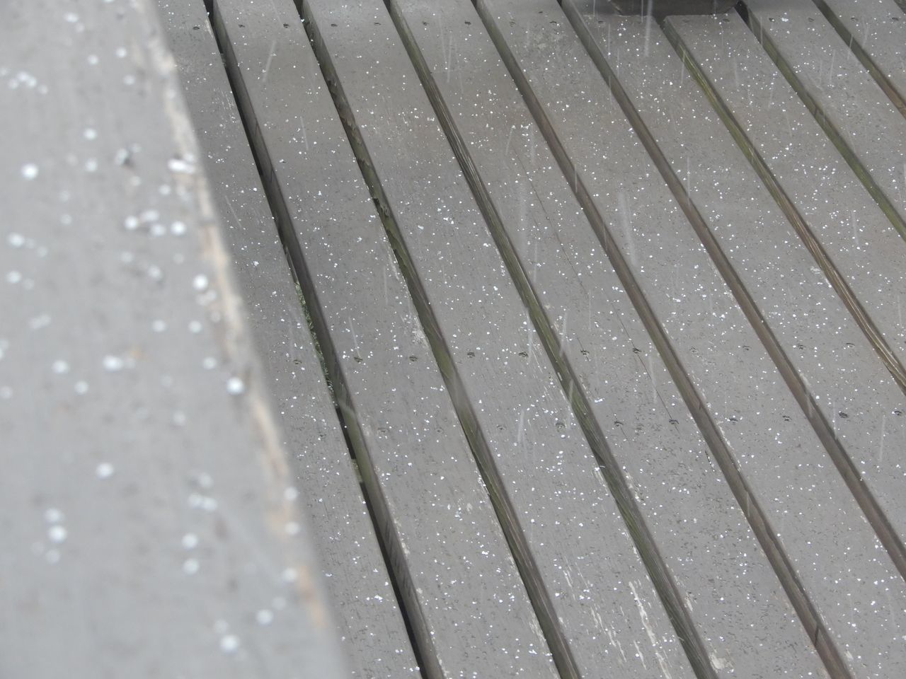 雪景色が戻ってきた_c0025115_21493508.jpg