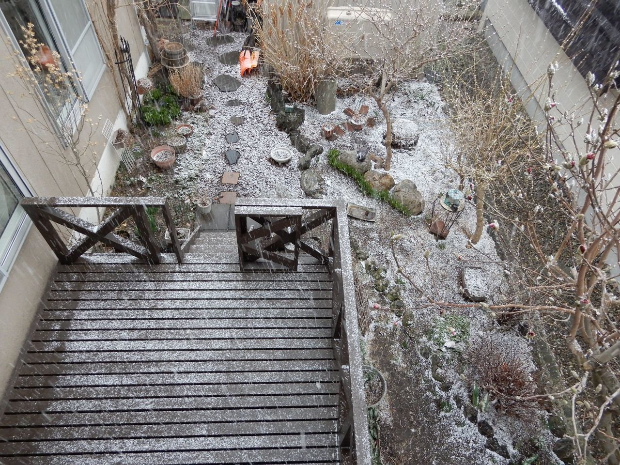 雪景色が戻ってきた_c0025115_21541583.jpg