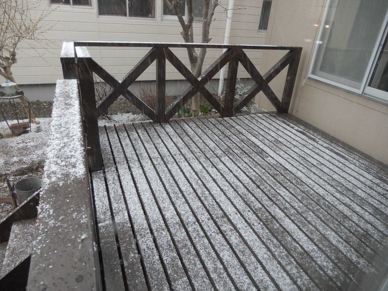 雪景色が戻ってきた_c0025115_21542706.jpg