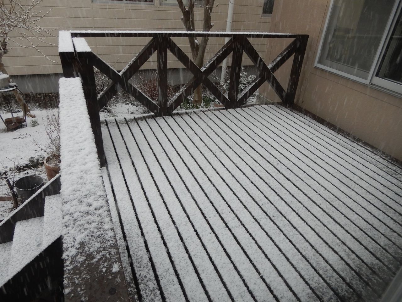 雪景色が戻ってきた_c0025115_21543241.jpg