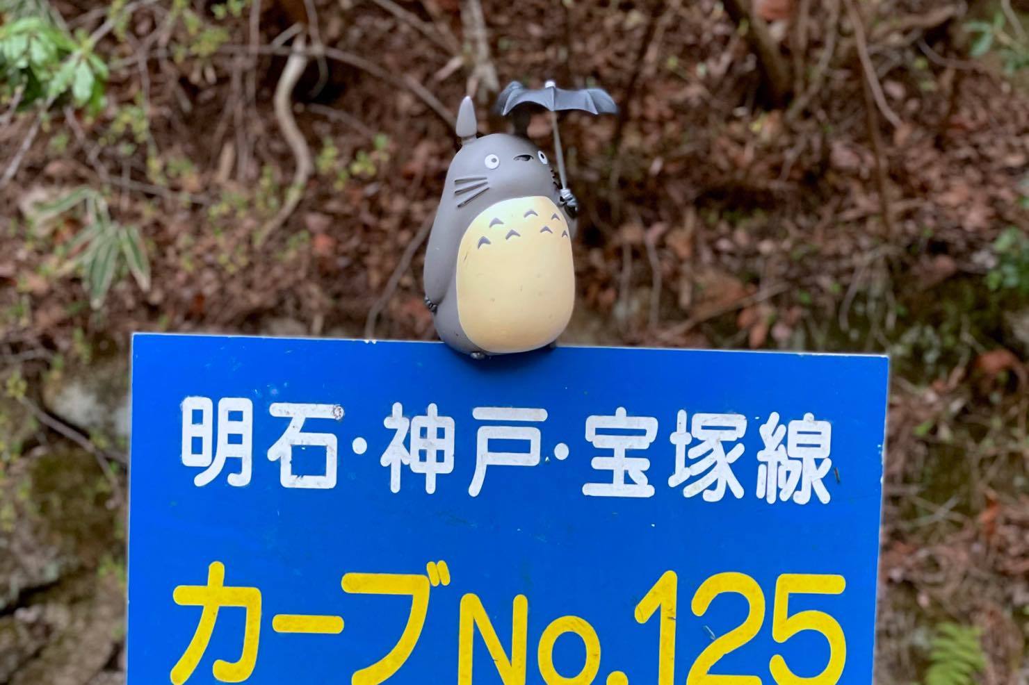 六甲山トトロロード My Cycling Diary 六甲山トトロロード My Cycling Diary