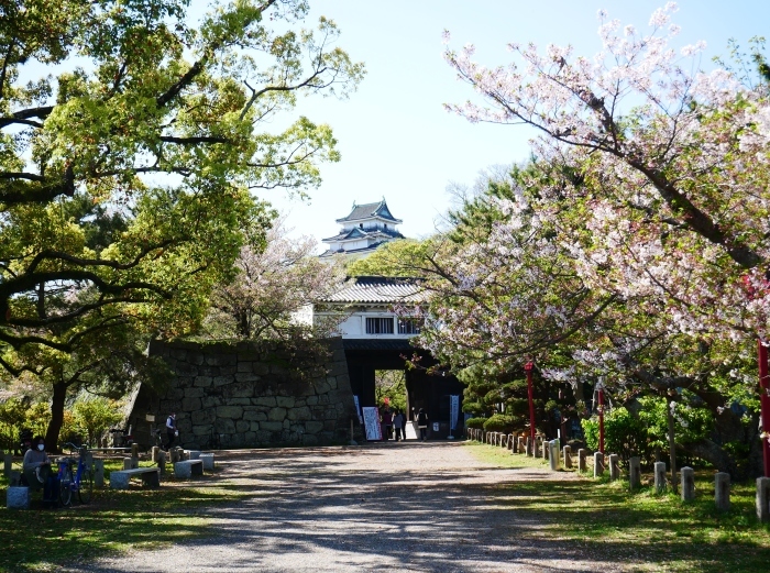 　　桜からつつじへそして新緑へ　　２０２１-０４-０９　００：００_b0093754_22122759.jpg