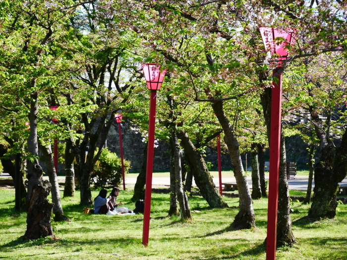 　　桜からつつじへそして新緑へ　　２０２１-０４-０９　００：００_b0093754_22133636.jpg